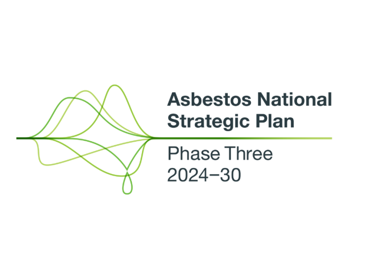 Phase Three Asbestos National Strategic Plan: Consultation