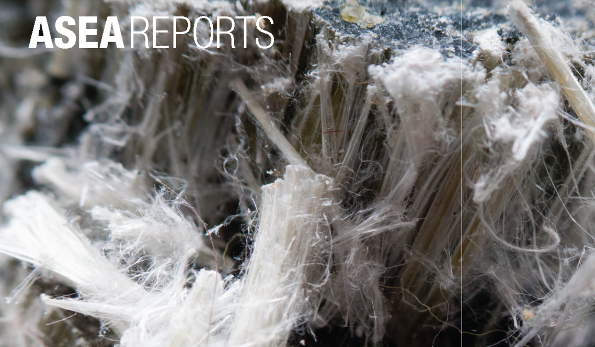 ASEA Report the economic burden of asbestos-related disease report front cover