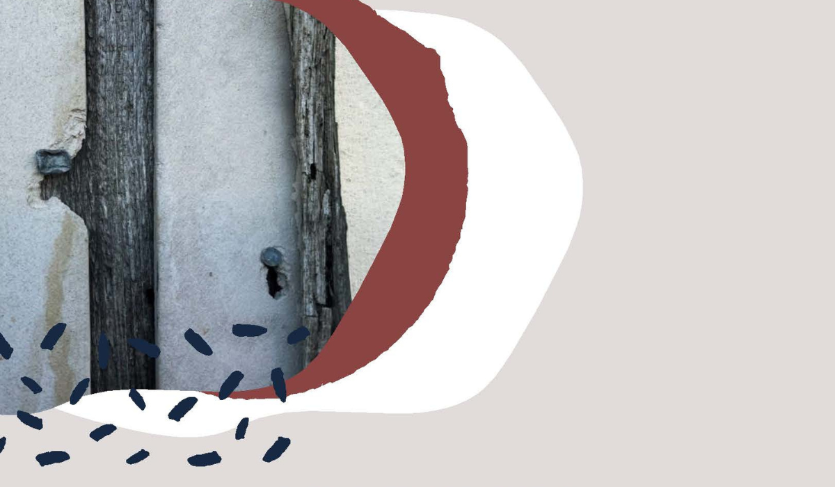 Local Government to combat illegal dumping and improper disposal of asbestos