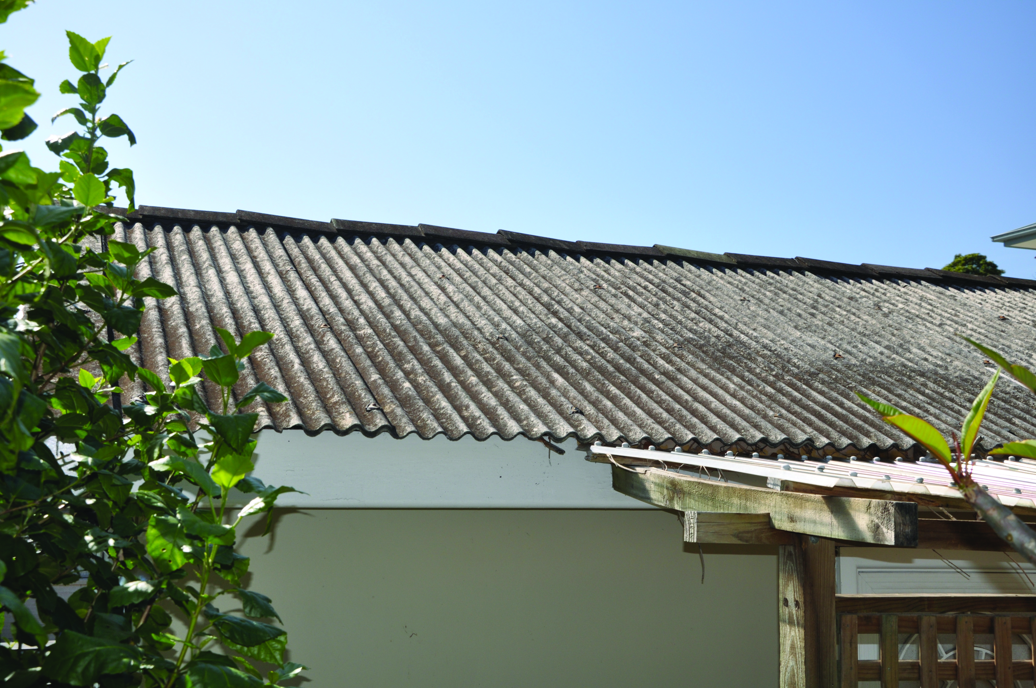 Asbestos cement roofing, gutters and downpipes