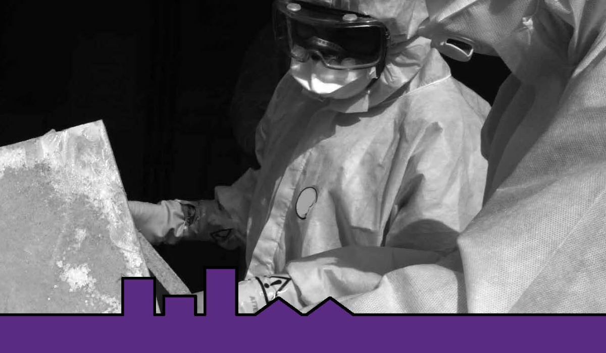 ASEA National Strategic Plan 2014-18 front cover image