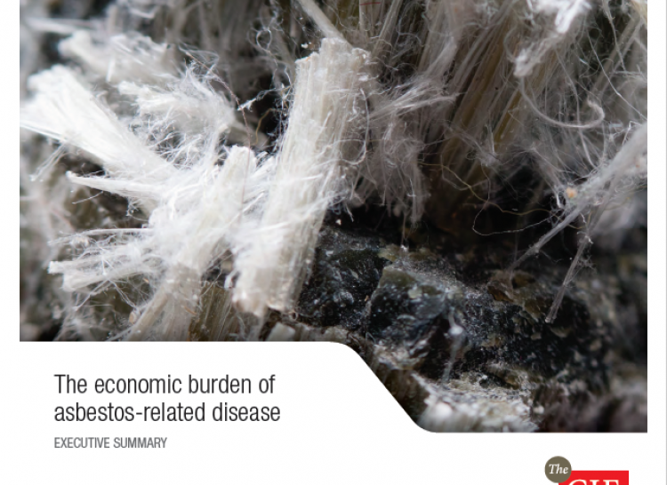 The economic burden of asbestos-related disease cover