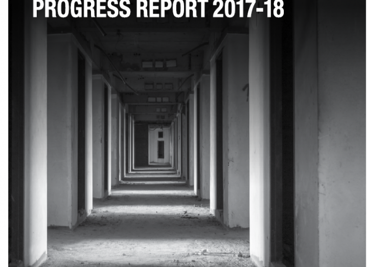 Image of the front cover of the National Strategic Plan Progress Report 2017-18