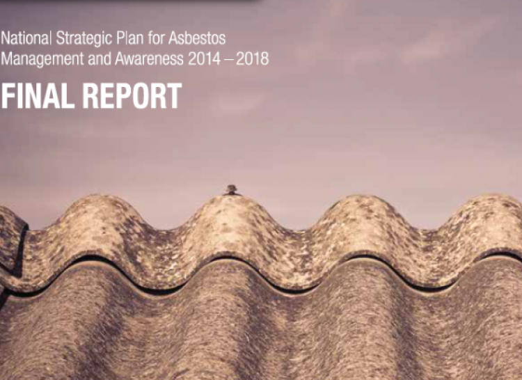 National Strategic Plan for Asbestos Management and Awareness 2014 - 2018 Final Report