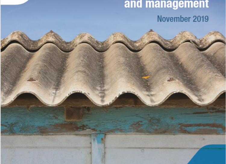 Cover of National Strategic Plan for Asbestos Awareness and Management 