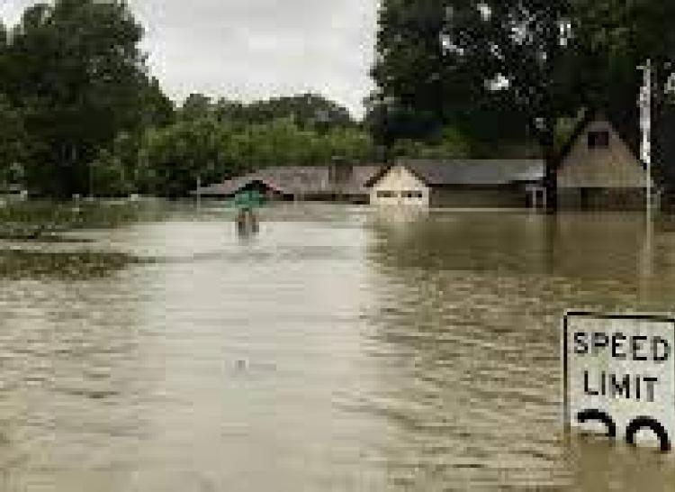 image of a flood, road sign peeking through water. 