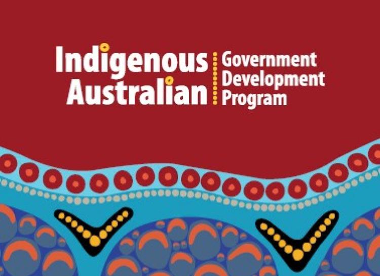  Indigenous Australian Government Development Program text on background artwork by Danielle Mate Sullivan ‘DJMate’ titled From Foundations We Grow