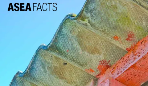 ASEA Facts Priority areas where ACMs may present a risk in the Australian community report front cover