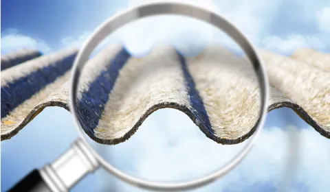 ASEA Information for those undertaking asbestos assessments front cover