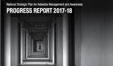 ASEA Progress report 2017-18 front cover image