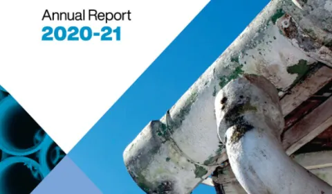 ASEA Annual Report 2020-21 front cover image