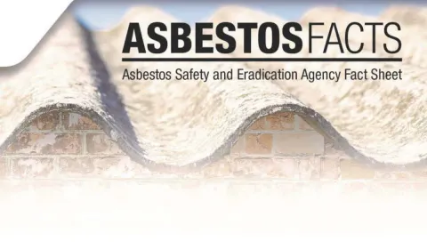 Asbestos Facts factsheet header image