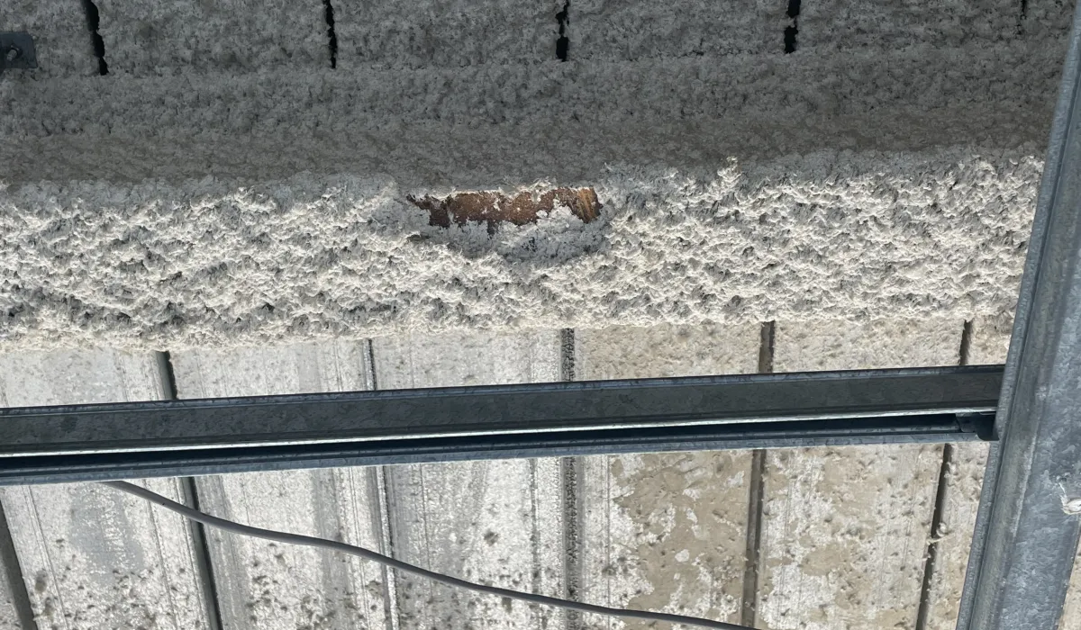 Limpet showing overspray on bondec