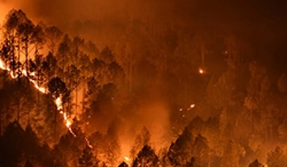 Advice when returning to bushfire affected properties. 