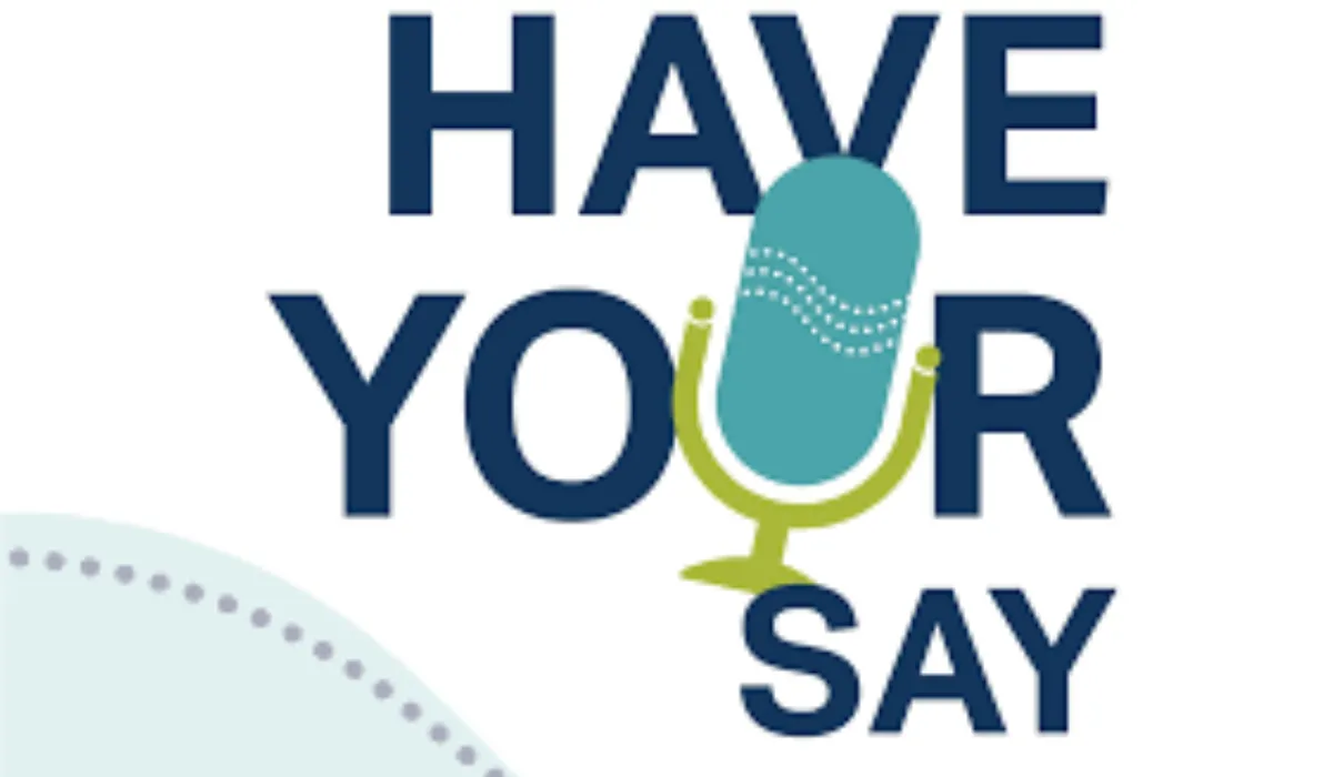Have your say logo for census