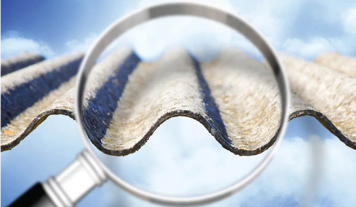 ASEA Information for those undertaking asbestos assessments front cover