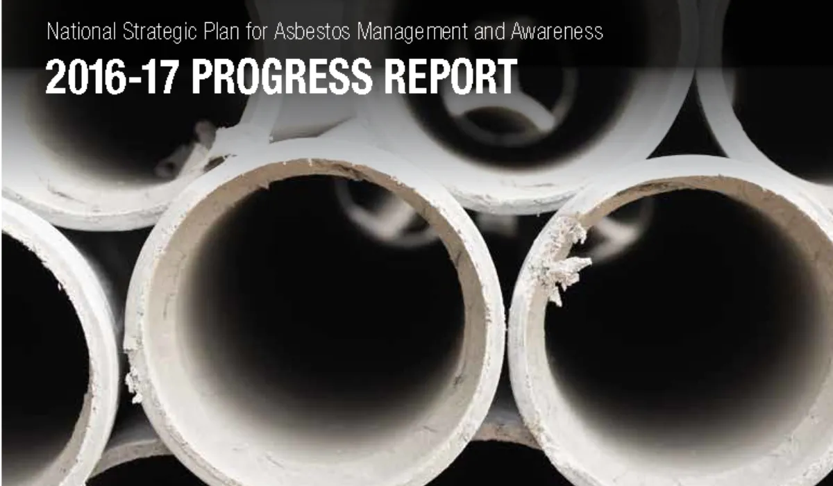 ASEA Progress Report 2016-17 front cover image