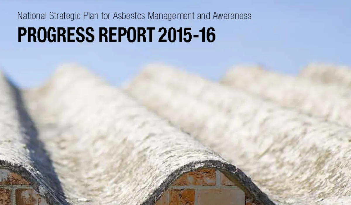 ASEA Progress report 2015-16 front cover image