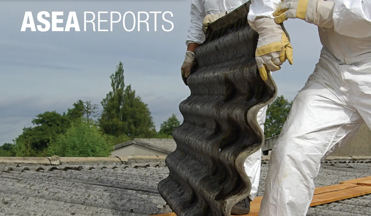 ASEA Reports - Barriers motivations and options report front cover image