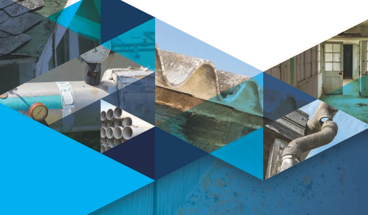 ASSEA Annual Report - 2023-24 front cover image