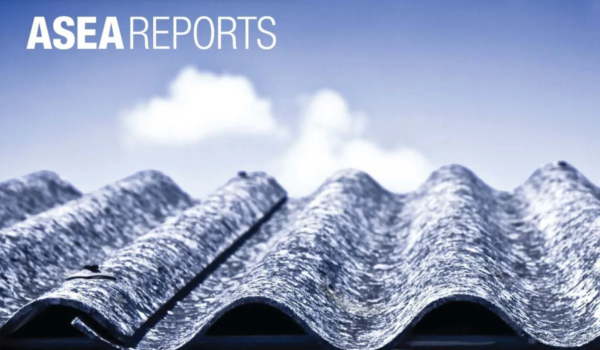 Review of asbestos stabilsation and containment practices front cover