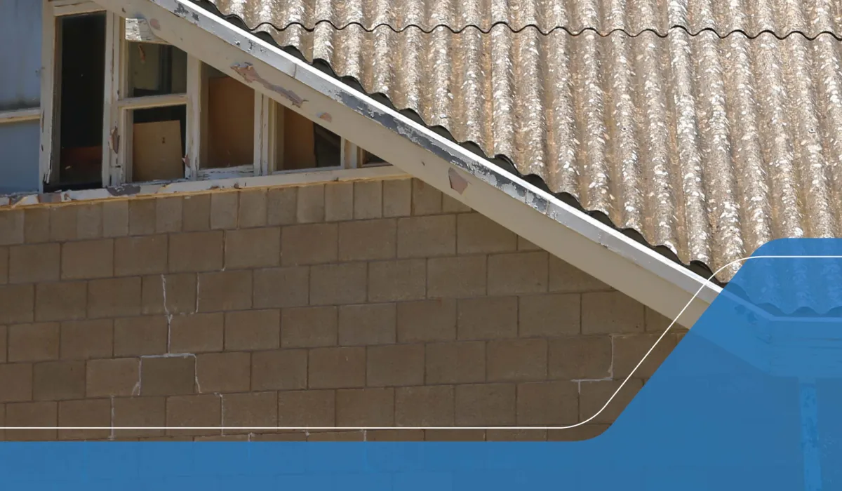 ASEA Annual Operational Plan and Corporate Plan 2020-21 front cover image