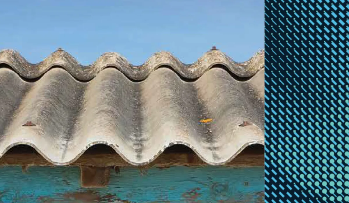 Image of asbestos tin roof with navy blue stripe down the side.